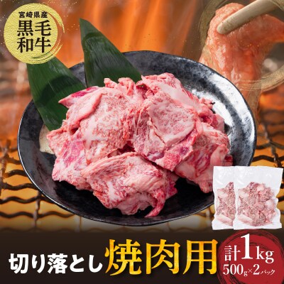 宮崎県産黒毛和牛切り落とし(焼肉用)計1kg_T023-0171