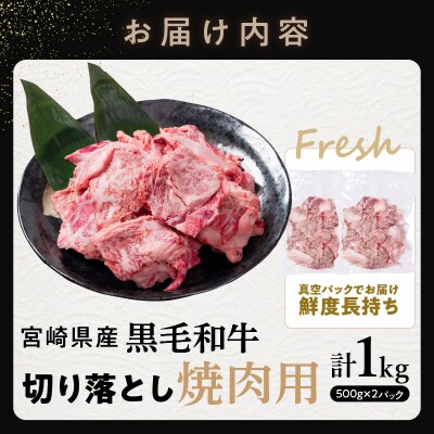 宮崎県産黒毛和牛切り落とし(焼肉用)計1kg_T023-0171