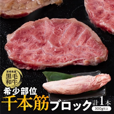 【超希少】宮崎県産黒毛和牛千本筋ブロック(計300g以上) 肉 牛 牛肉 国産_T023-0151