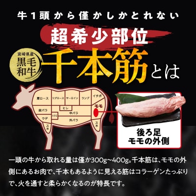 【超希少】宮崎県産黒毛和牛千本筋ブロック(計300g以上) 肉 牛 牛肉 国産_T023-0151