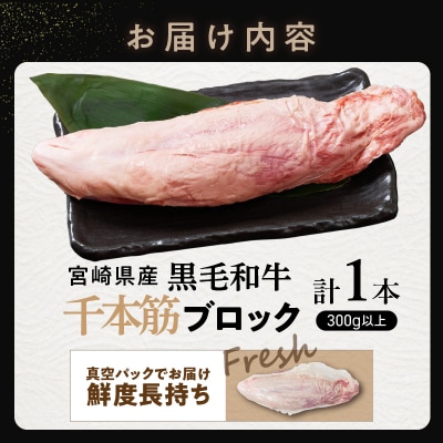 【超希少】宮崎県産黒毛和牛千本筋ブロック(計300g以上) 肉 牛 牛肉 国産_T023-0151