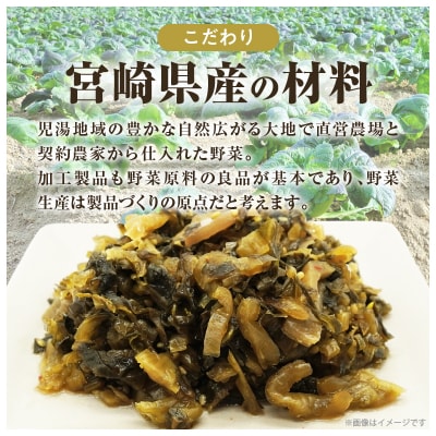 ＼ポスト投函/旨ごま高菜(150g) 漬物 おかず 野菜 加工品 国産_T025-010
