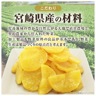 ＼ポスト投函/ひとくちかつお(230g) 漬物 おかず 野菜 加工品 国産_T025-011
