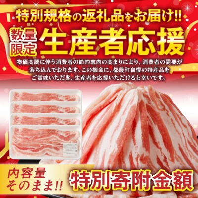 《2週間以内発送》生産者応援!宮崎県産豚バラスライス計1kg_T009-0111-ZO-2W