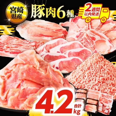 【2週間以内発送】≪宮崎県産≫豚肉6種てげスゲーセット合計4.2kg 肉_T009-0121-2W