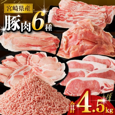 【2週間以内発送】≪宮崎県産≫豚肉6種＼てげスゲーセット/合計4.5kg_T009-032-2W