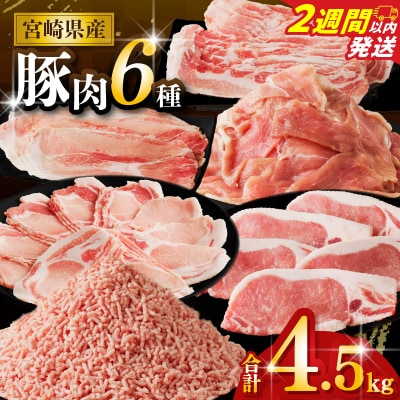 【2週間以内発送】≪宮崎県産≫豚肉6種＼てげスゲーセット/合計4.5kg_T009-032-2W