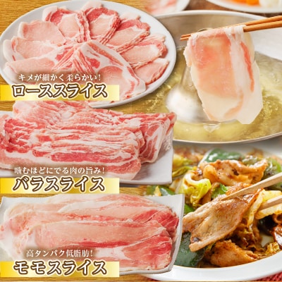 【2週間以内発送】≪宮崎県産≫豚肉6種てげスゲーセット合計4.2kg 肉_T009-0121-2W