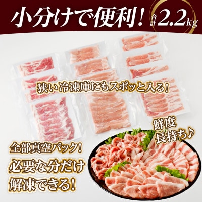 【2週間発送】真空パック!!宮崎県産豚しゃぶしゃぶ3種盛り合計2.2kg_T041-0022-2W