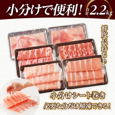 全部小分けシート巻き!!宮崎県産豚しゃぶしゃぶ3種盛りセット合計2.2kg_T041-0051-2W