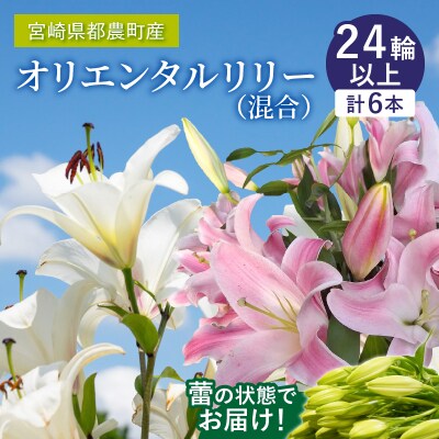 【2週間以内発送】「オリエンタルリリー ユリ」(白&ピンク) 計6本 国産_T045-0031