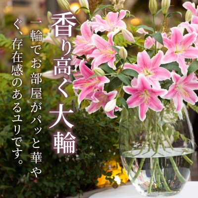 【2週間以内発送】「オリエンタルリリー ユリ」(白&ピンク) 計6本 国産_T045-0031