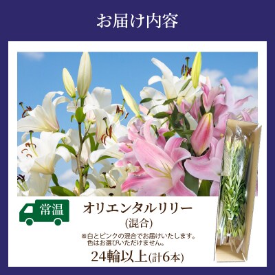 【2週間以内発送】「オリエンタルリリー ユリ」(白&ピンク) 計6本 国産_T045-0031