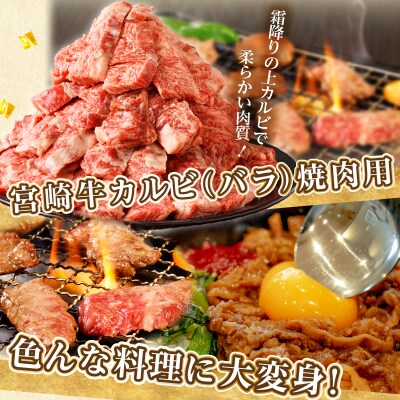全部小分け真空パック!!「宮崎牛カルビ(バラ)焼肉用」計1kg_T041-0071