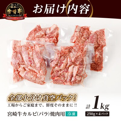 全部小分け真空パック!!「宮崎牛カルビ(バラ)焼肉用」計1kg_T041-0071