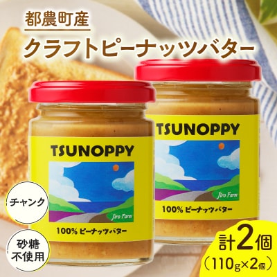 クラフトピーナッツバター(チャンク)計2個 加工品 国産_T024-0111