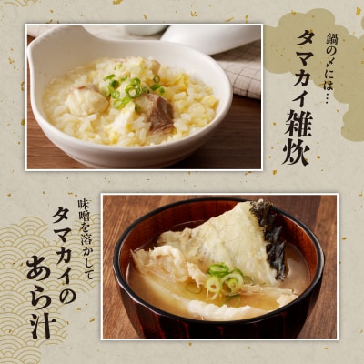 都農町産「つのタマカイ(鍋用・ぶつ切り)2～3人前」計500g 魚 養殖 国産_T012-001