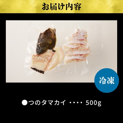 都農町産「つのタマカイ(鍋用・ぶつ切り)2～3人前」計500g 魚 養殖 国産_T012-001