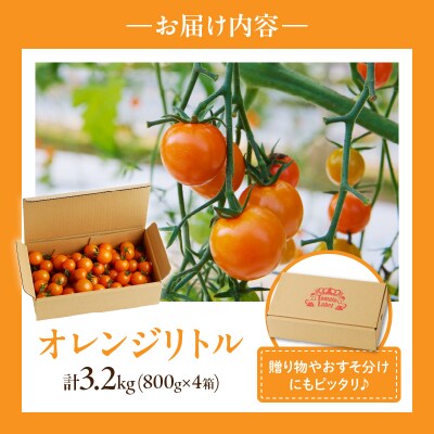 ≪期間限定≫オレンジリトル(合計3.2㎏) ミニトマト 野菜 サラダ 国産_T040-0041