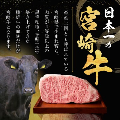 【3月発送】生産者応援≪肉質等級4等級以上≫宮崎牛ロースステーキ計1kg_T030-016-703