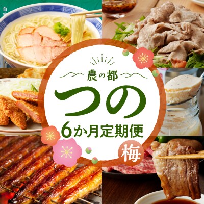 ≪6か月お楽しみ定期便≫都農町定期便(梅) 肉 加工品 デザート 国産_T999-0052
