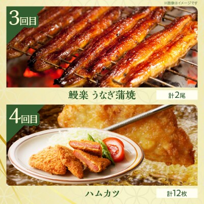 ≪6か月お楽しみ定期便≫都農町定期便(梅) 肉 加工品 デザート 国産_T999-0051