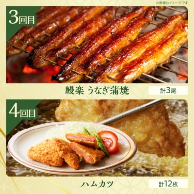 ≪6か月お楽しみ定期便≫都農町定期便(梅) 肉 加工品 デザート 国産_T999-0053