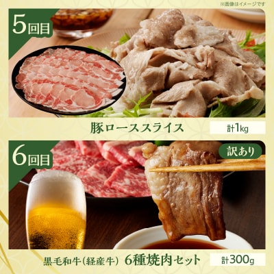 ≪6か月お楽しみ定期便≫都農町定期便(梅) 肉 加工品 デザート 国産_T999-0053