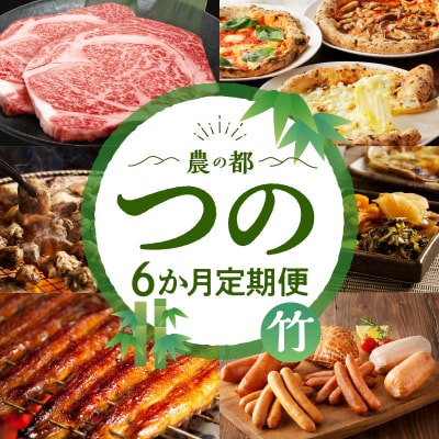 ≪6か月お楽しみ定期便≫都農町定期便(竹) 肉 加工品 鰻 国産_T999-0063