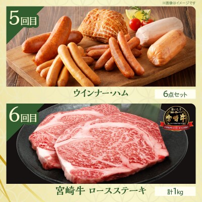 ≪6か月お楽しみ定期便≫都農町定期便(竹) 肉 加工品 鰻 国産_T999-0061