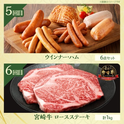 ≪6か月お楽しみ定期便≫都農町定期便(竹) 肉 加工品 鰻 国産_T999-0063