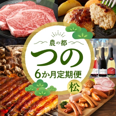 ≪6か月お楽しみ定期便≫都農町定期便(松) 肉 加工品 鰻 国産_T999-0073