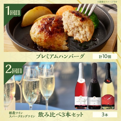 ≪6か月お楽しみ定期便≫都農町定期便(松) 肉 加工品 鰻 国産_T999-0073