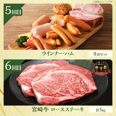 ≪6か月お楽しみ定期便≫都農町定期便(松) 肉 加工品 鰻 国産_T999-0073