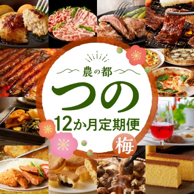 ≪12か月お楽しみ定期便≫都農町定期便(梅) 肉 加工品 デザート 国産_T999-0082