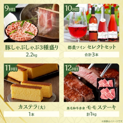 ≪12か月お楽しみ定期便≫都農町定期便(梅) 肉 加工品 デザート 国産_T999-0082