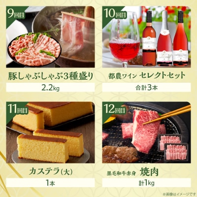 ≪12か月お楽しみ定期便≫都農町定期便(梅) 肉 加工品 デザート 国産_T999-0083