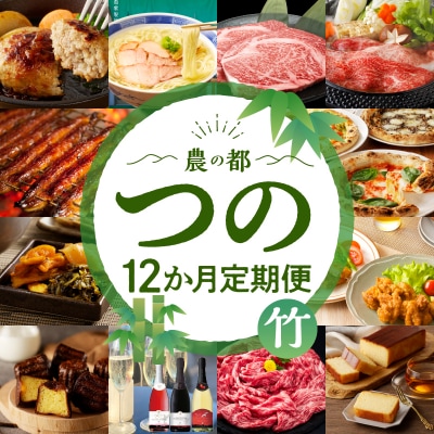 ≪12か月お楽しみ定期便≫都農町定期便(竹) 肉 加工品 デザート 国産_T999-0092
