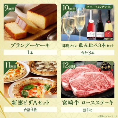 ≪12か月お楽しみ定期便≫都農町定期便(竹) 肉 加工品 デザート 国産_T999-0092