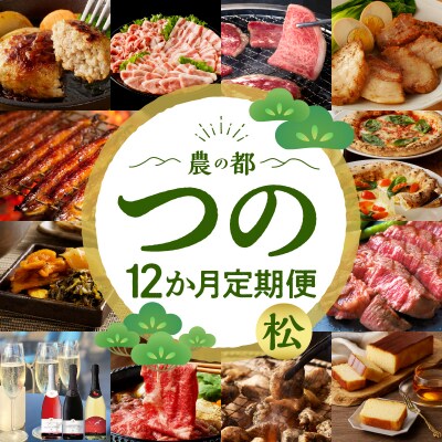 ≪12か月お楽しみ定期便≫都農町定期便(松) 肉 加工品 デザート 国産_T999-0103