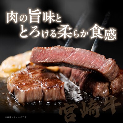 宮崎牛サーロインステーキ(計400g) 肉 牛 牛肉 国産 _T050-0011