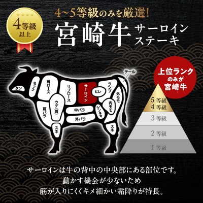 宮崎牛サーロインステーキ(計400g) 肉 牛 牛肉 国産 _T050-0011