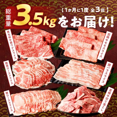 ≪3か月定期便≫宮崎県産牛&豚の満腹セット(総重量3.5kg)_T030-138