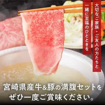 ≪3か月お楽しみ定期便≫宮崎県産牛&豚の満腹セット(総重量3.5kg) 肉 牛_T030-1853