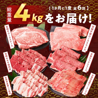 ≪6か月定期便≫宮崎の牛豚贅沢堪能セット(総重量4kg)_T030-1401