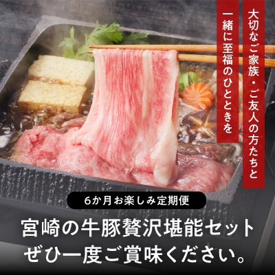≪6か月定期便≫宮崎の牛豚贅沢堪能セット(総重量4kg)_T030-1401