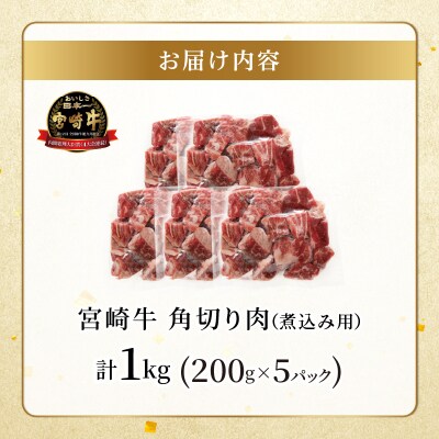 宮崎牛角切り肉(煮込み用)計1kg 肉 牛 牛肉 おかず 国産_T009-0291