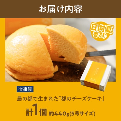 農の都で生まれた「都のチーズケーキ」計1個 スイーツ 洋菓子 国産_T038-009