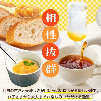 TSUNO JAMはるみみかん(計1個) ジャム 果物 柑橘 加工品 国産_T043-0081