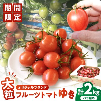 ≪先行予約≫オリジナルブランド「フルーツトマトゆき」計2kg_T047-0041